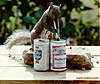 Click image for larger version

Name:	squirrel-beer.jpg‎
Views:	860
Size:	53.6 kB
ID:	369