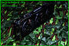 Click image for larger version

Name:	back_to_nature_ivy54.jpg‎
Views:	308
Size:	860.0 kB
ID:	15950