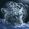 IceMan8 avatar