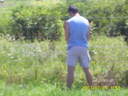 memo's Avatar
