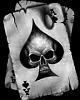 ace_of_spades avatar