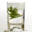 gin.tonic's Avatar