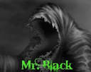 Mr.Black's Avatar