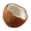 coconut avatar