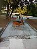 Click image for larger version

Name:	uploadfromtaptalk1460354853421.jpg
Views:	259
Size:	116.1 kB
ID:	16401