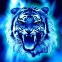 Clutch's Avatar