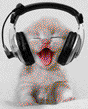 Fly avatar