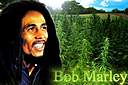 bob marley03 avatar