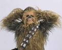 Chewbacca avatar