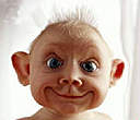 luff's Avatar