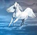 Pegasi avatar