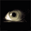 StRoNiX's Avatar
