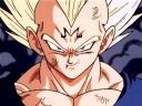 -VeGeTa-'s Avatar