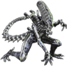 Xenomorph avatar