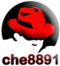 che8891 avatar