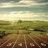 RunnersWorld